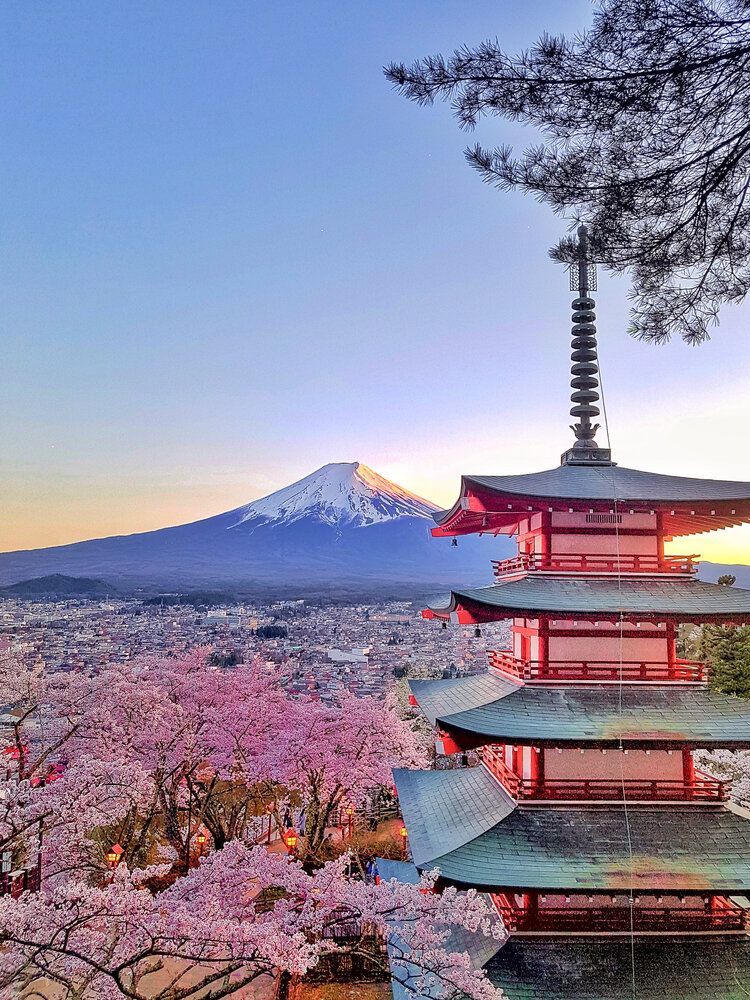 Japón