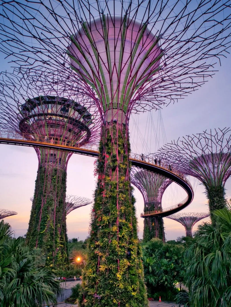 Singapur