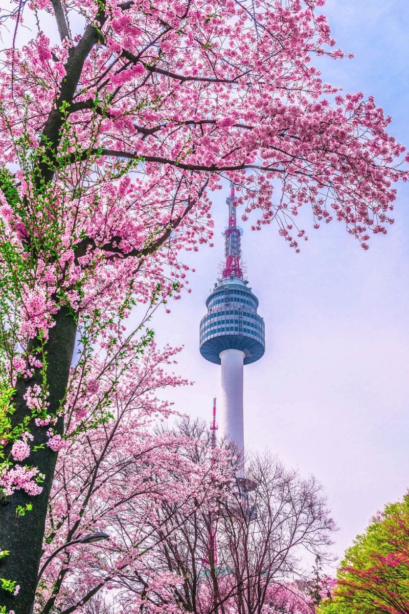 Corea del Sur